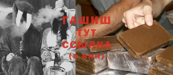 молекула духа Ельня