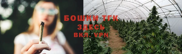 молекула духа Ельня
