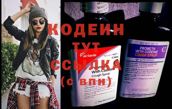 молекула духа Ельня