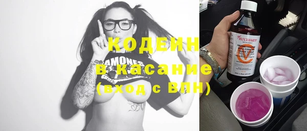 молекула духа Ельня