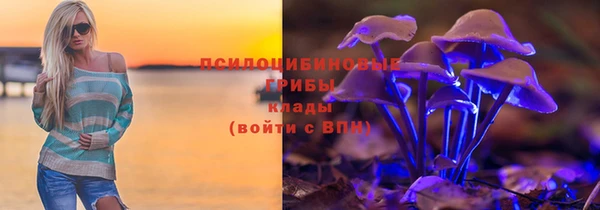 молекула духа Ельня