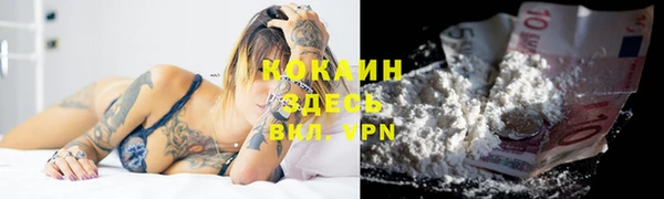 молекула духа Ельня