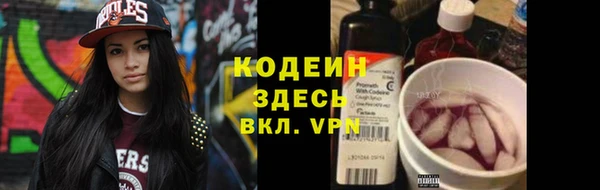молекула духа Ельня