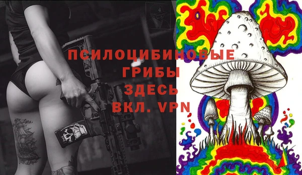 молекула духа Ельня