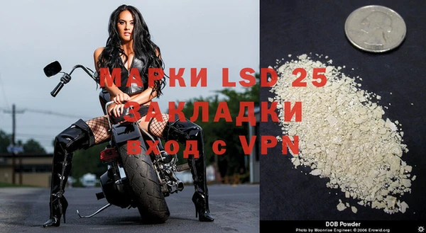 МДПВ Елабуга