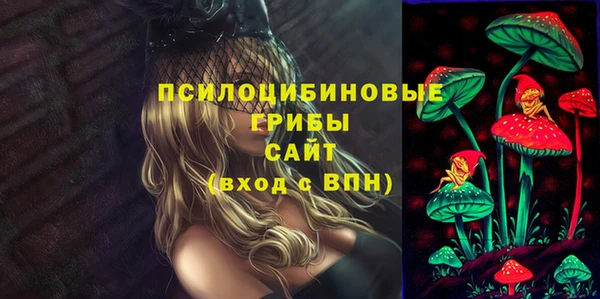 2c-b Елизово