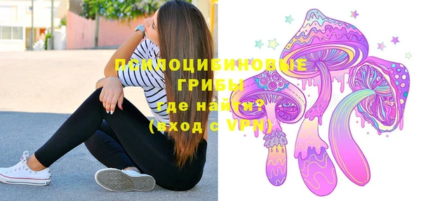 МДПВ Елабуга