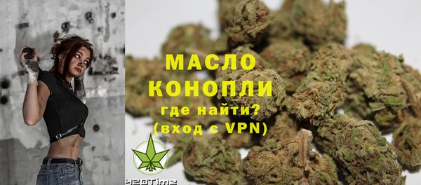 молекула духа Ельня