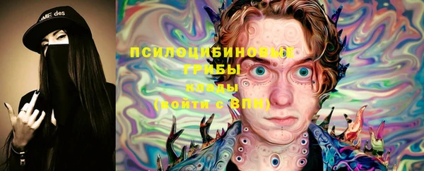 стаф Осинники
