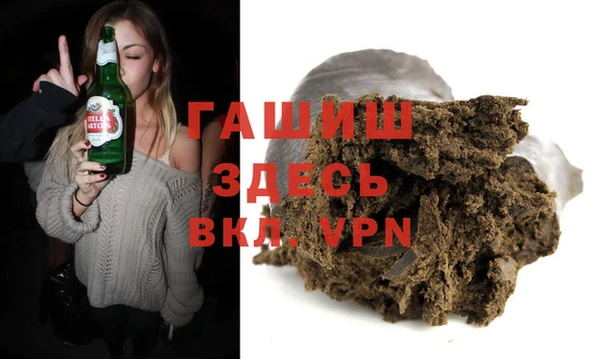 молекула духа Ельня
