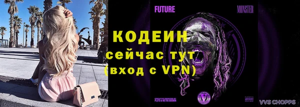стаф Осинники