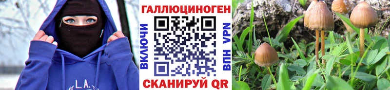 Галлюциногенные грибы Magic Shrooms kraken Онега